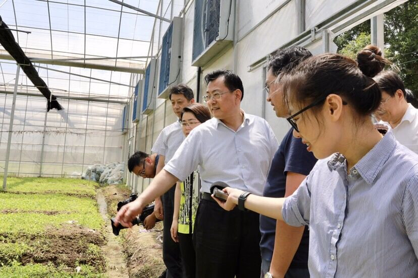 新聞綜合廣播記者徐湘秀跟隨裘東耀市長檢查指導(dǎo)抗臺工作.jpg