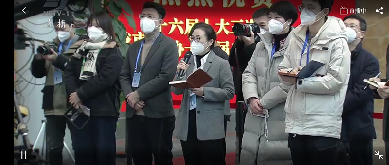 記者在委員通道提問(wèn).jpg