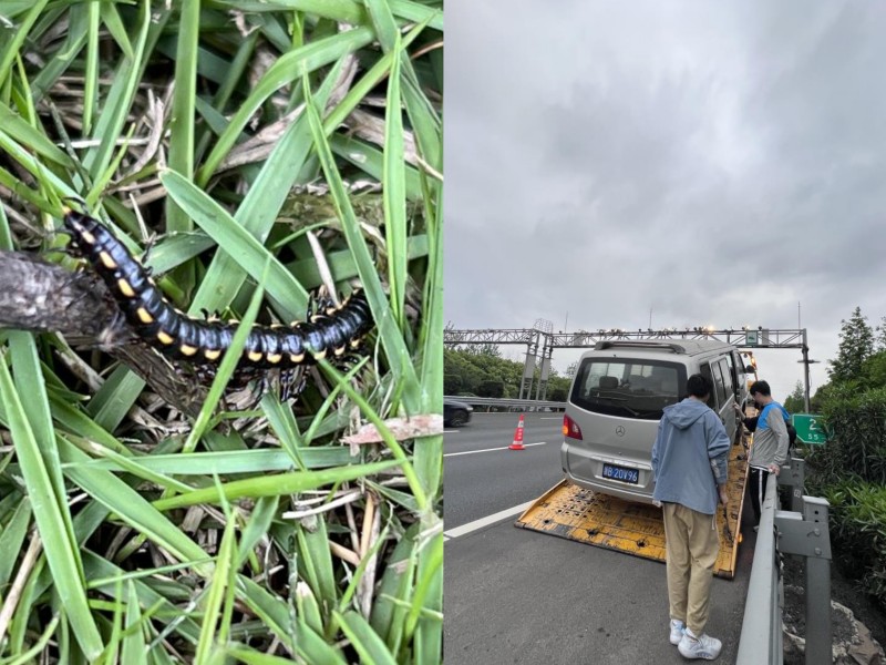 馬陸與高速拋錨.jpg